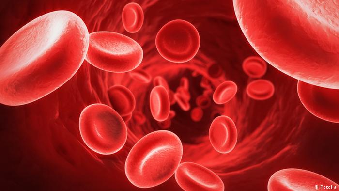 دراسة: في الدم أجسام مضادة تقي من تصلب الأوعية الدموية 0,,17392287_303,00