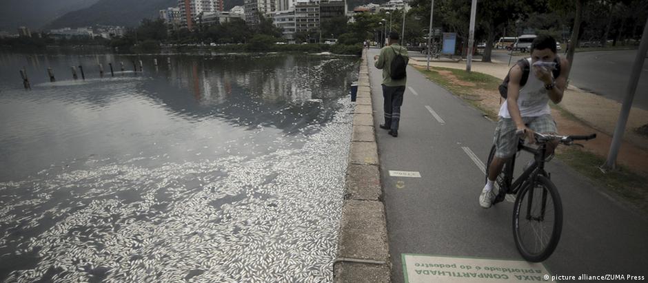 Mortandades de peixes são fenômeno crônico na Lagoa Rodrigo de Freitas