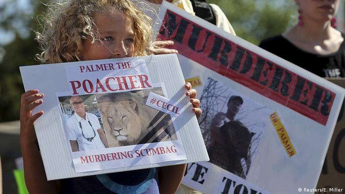 تظاهرات علیه شکار و دندانپزشک شکارچی آمریکایی در بلومینگتون در ایالت مینه‌سوتای آمریکا