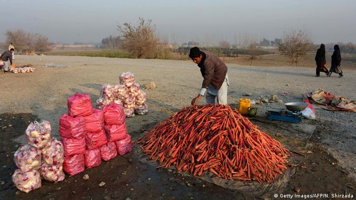Afghanistan Landwirtschaft Markt Karotten