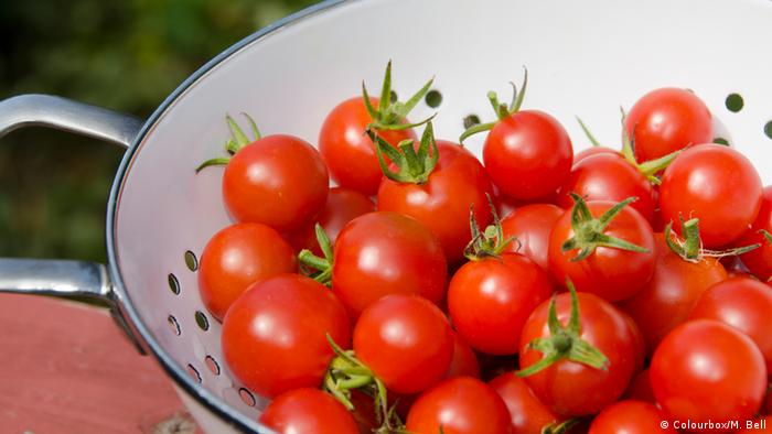 الطماطم المطبوخة صحية ومفيدة أكثر من الطازجة 0,,18741421_303,00