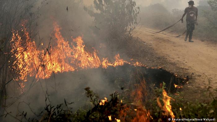 Indonesien Waldbrände in Süd Sumatra
