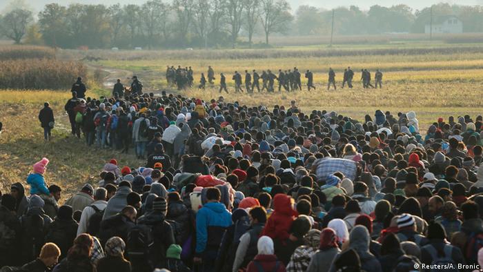 Crowd of refugees in Slovenia near Dobova (Photo: Reuters) 