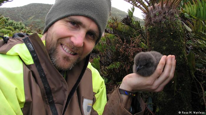 Ross Wanless ist der Seabird Conservation Programme Manager BirdLife International Marine Programme