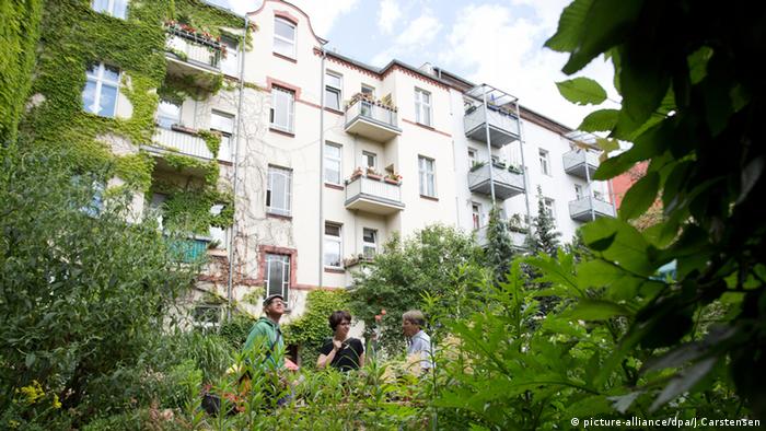 Se anima a los dueños de edificios a poner plantas en los patios interiores, típicos de las construcciones de Berlín.