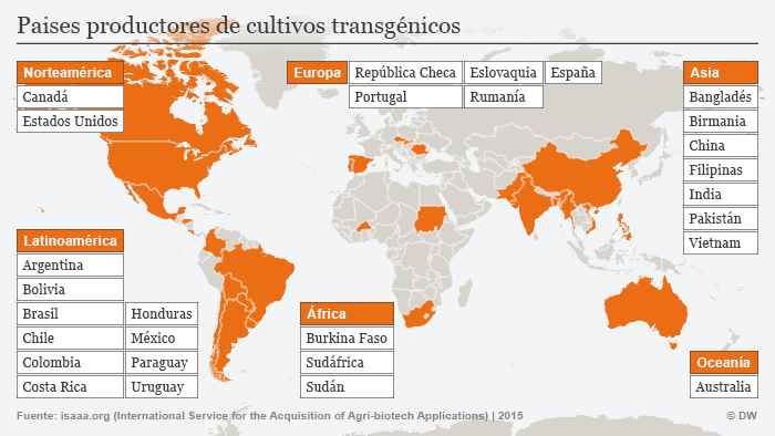 Infografik Gentechnik Landwirtschaft weltweit 2014 Spanisch