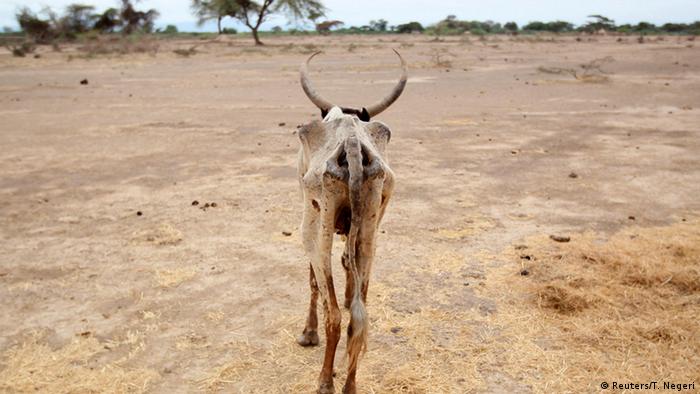 Sequía en Gelcha, en la región de Oromia, Etiopia. 