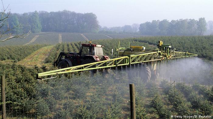 Deutschland Traktor Unkrautbekämpfung Fichten Monokultur Herbizid