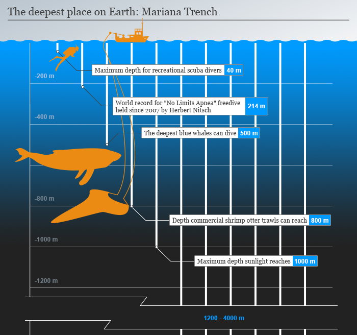 Infographic The deepest place on earth: Mariana Trench 1v4