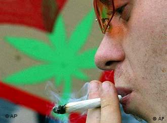 軟性毒品帶來惡性後果 - 大麻是最為流行極具危險的軟性毒品