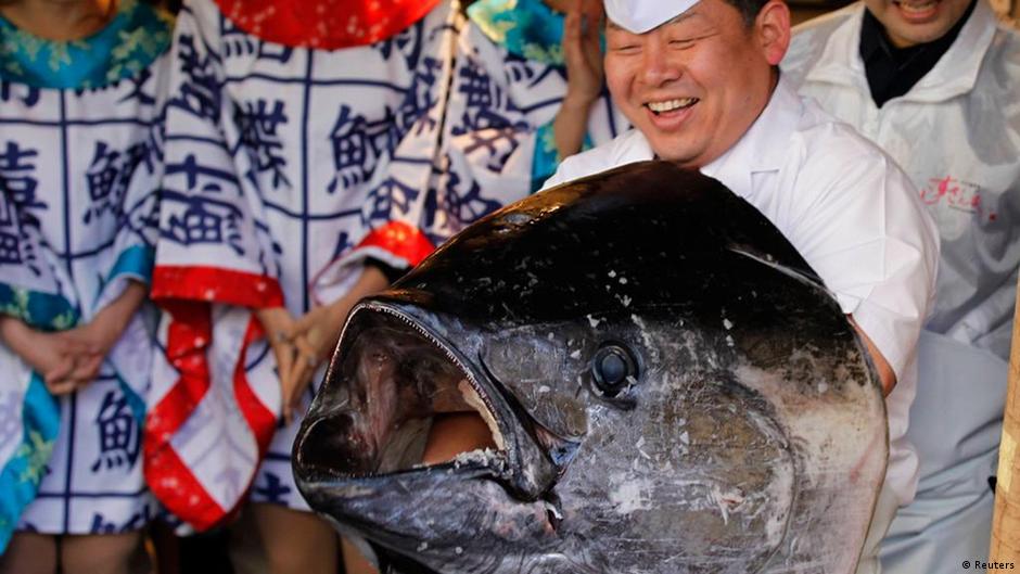 Der teuerste Fisch der Welt kommt aus Japan | Aktuell Asien | DW | 05.