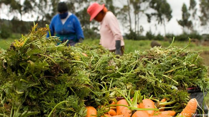 Agricultura sostenible en Ecuador