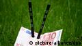 Euro banknote on lawn Symbolbild (picture-alliance/dpa)