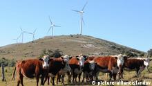 Uruguay Windenergie