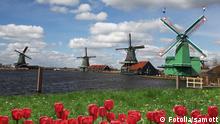 Windmühle traditionelle Windmühlen Holland Niederlande Gracht Kanal Tulpen