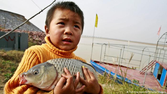 Gelber Fluss in China Fischerei Archiv 2007 (Teh Eng Koon/AFP/Getty Images)