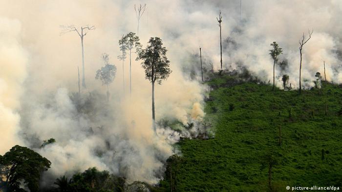 Forest fire on Sumatra (picture-alliance/dpa)