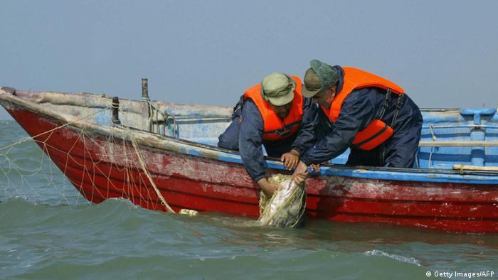 Iran fisherman shot and killed by Saudi coast guard ...