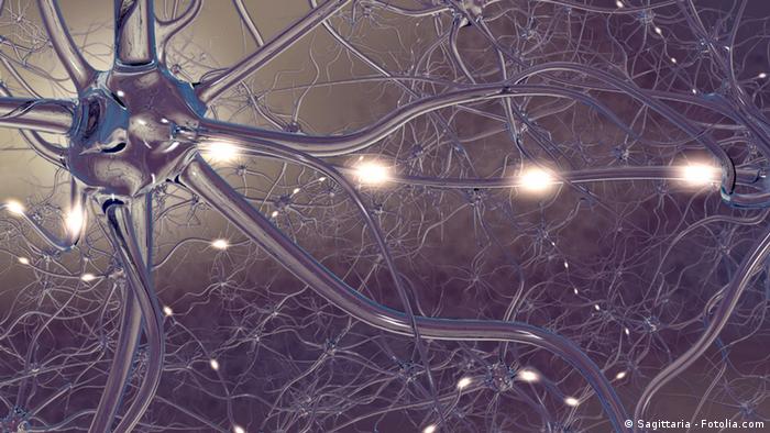 Symbolbild Gehirn Nervenzellen Synapsen (Sagittaria - Fotolia.com)