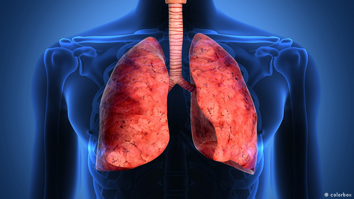 El dióxido de nitrógeno irrita las membranas mucosas y los pulmones. 