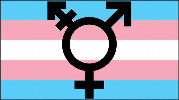 Symbolbild Transgender Logo Fahne