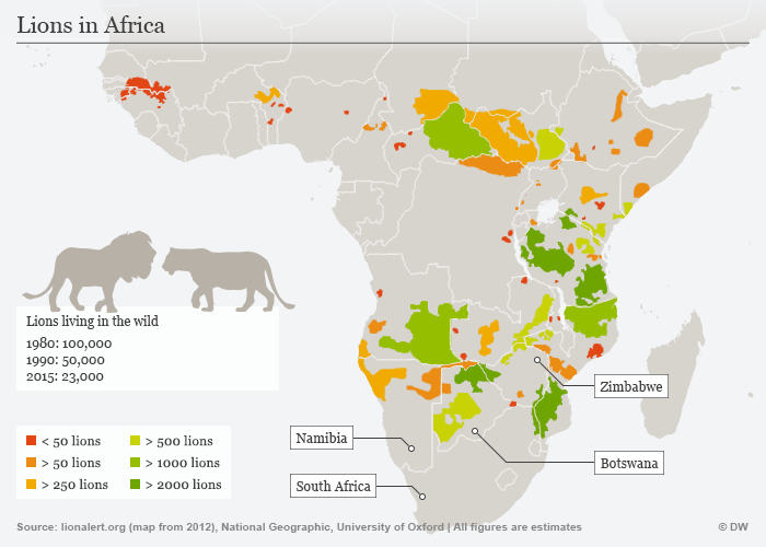 Lion Population In South Africa 52