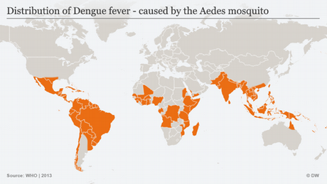 Infografik Aedes-Mücke Verbreitung Dengue-Fieber Englisch