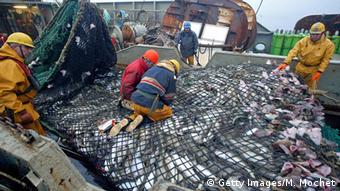 Arktis Barentssee Französischer Fischtrawler mit fangfrischem Fisch