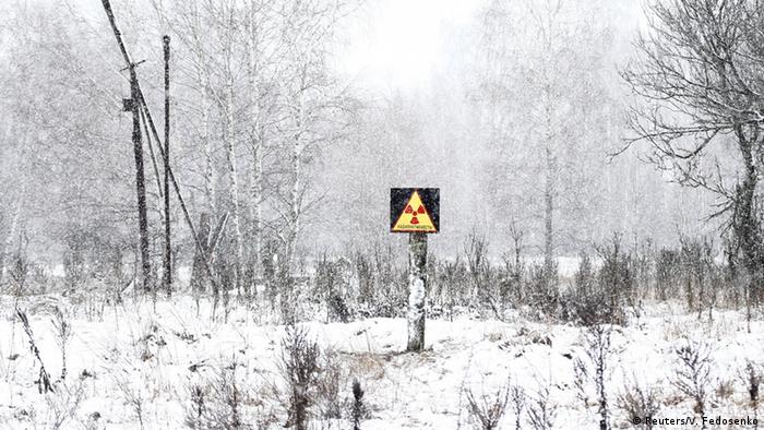 Ukraine Tiere in Tschernobyl (Reuters/V. Fedosenko)