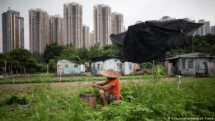 BdW Global Ideas Hongkong - Landwirtschaft und Aktivisten (picture-alliance/dpa/J. Favre)