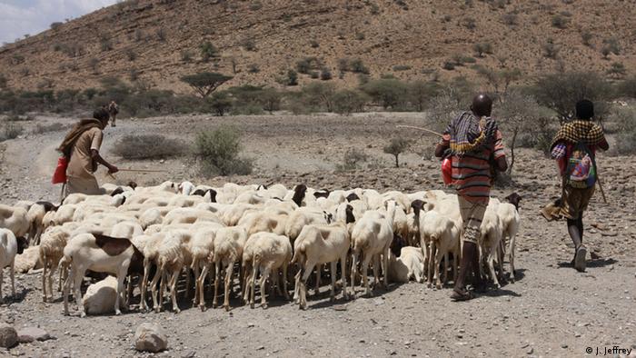 Somali Äthiopien Shinile-Zone Dürre erschwert Lebensbedingungen (J. Jeffrey)