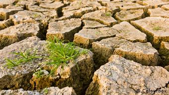 Dürre trockene Erde Gras Klimawandel (Colourbox)