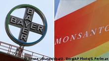 Kombo-Bild Bayer-Monsanto