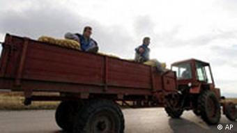 Bulgarien Landwirtschaft Traktor mit Kartoffeln (AP)