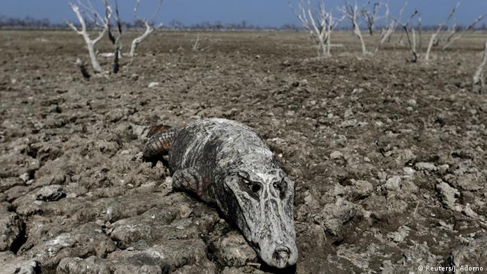 Lago ressecado no Paraguai: estudo ressalta que os danos causados pelo calor e a seca serão graves