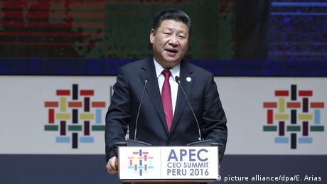 Peru APEC-Gipfel China Xi Jinping (picture alliance/dpa/E. Arias )