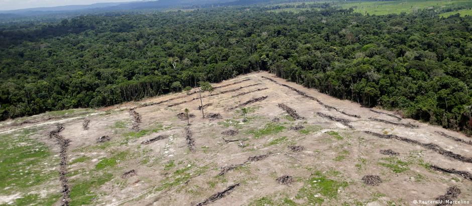 Desmatamento na Amazônia teve alta acima de 20% em dois anos seguidos, 2015 e 2016
