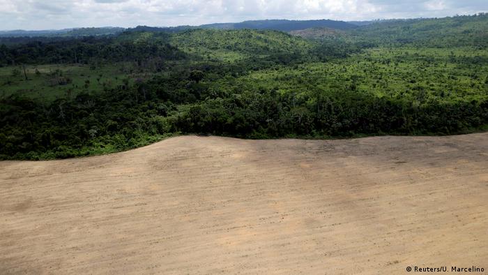 Trecho desmatado na Amazônia