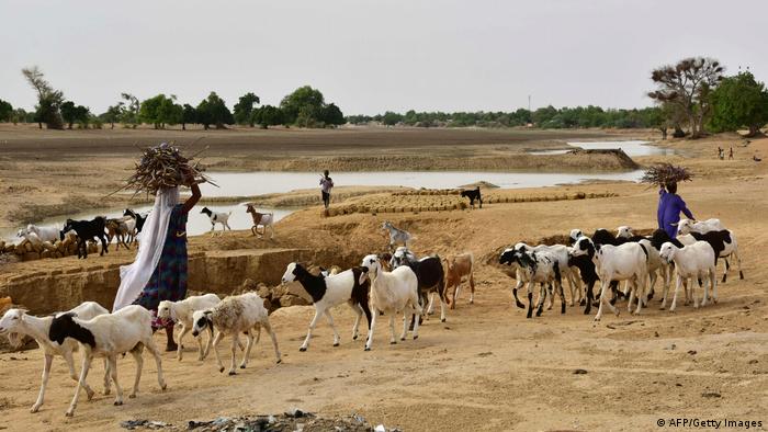 Nigeria Unruhen und Landwirtschaft (AFP/Getty Images)