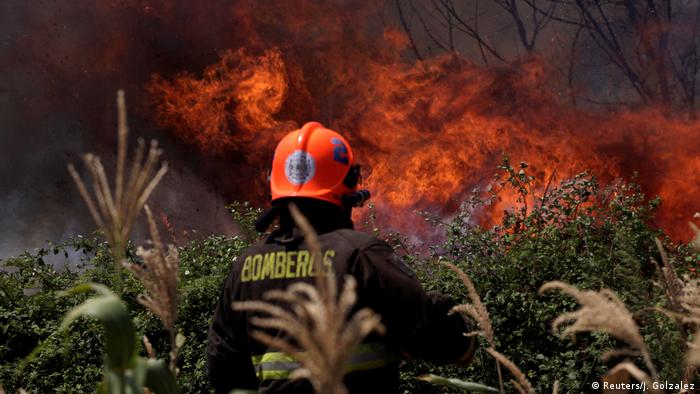 Waldbrände in Chile (Reuters/J. Golzalez)