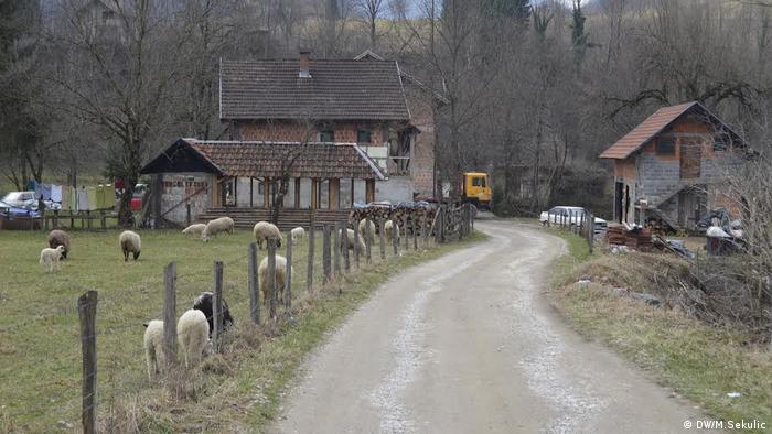 Selo Žutica