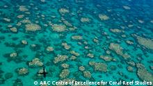 Australien ARC Studie - Coral Reef 