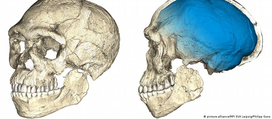 Formato do rosto dos fósseis encontrados no Marrocos é semelhante ao do Homo sapiens atual