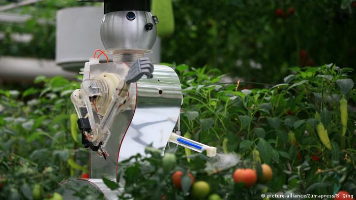 Robots que pulverizan pesticidas sobre plantas de tomate en la feria Sci-Tech, en China. (2012).
