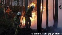 Waldbrand in Portugal Feuerwehr im Einsatz