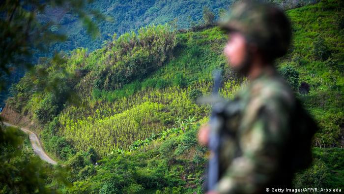Kolumbien Soldat auf einem Koka-Feld (Getty Images/AFP/R. Arboleda)
