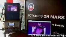 Projekt von der International Potato Center in Peru