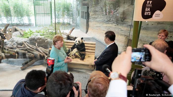 Berlin Willkommenszeremonie Pandabären | Xi Jinping & Angela Merkel (Reuters/A. Schmidt)