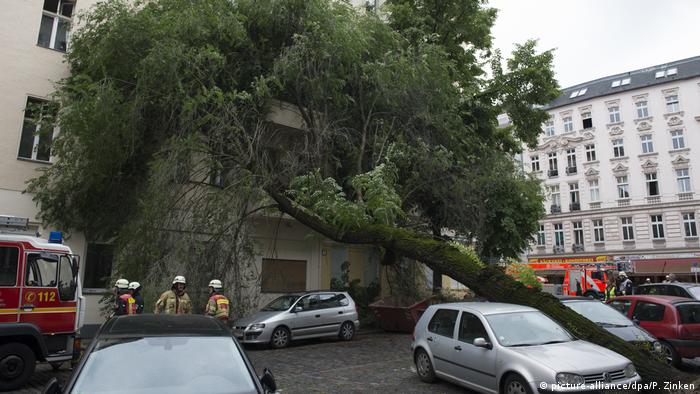 Tempestades derrubaram árvores em Berlim, como no bairro de Neukölln