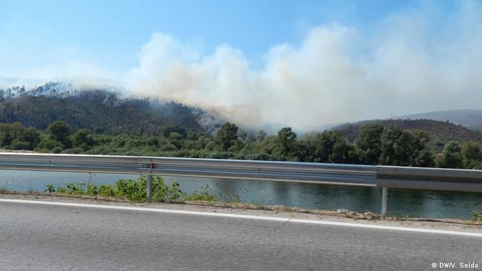 Bosnien und Herzegowina Waldbrände in Čapljina (DW/V. Soldo)
